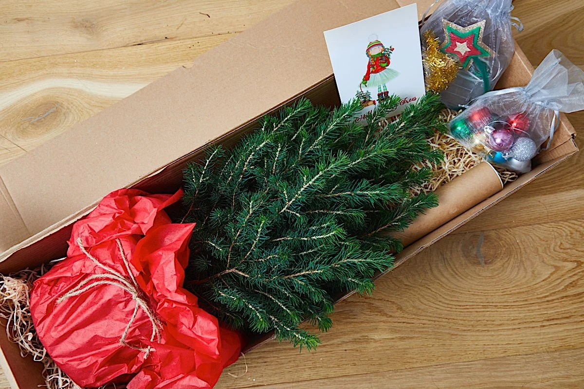 Christmas Tree Pallet – Artificial Trees